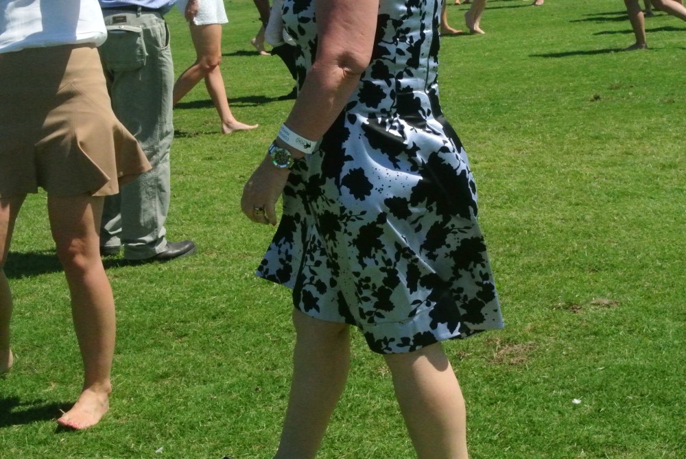 DSC 8071