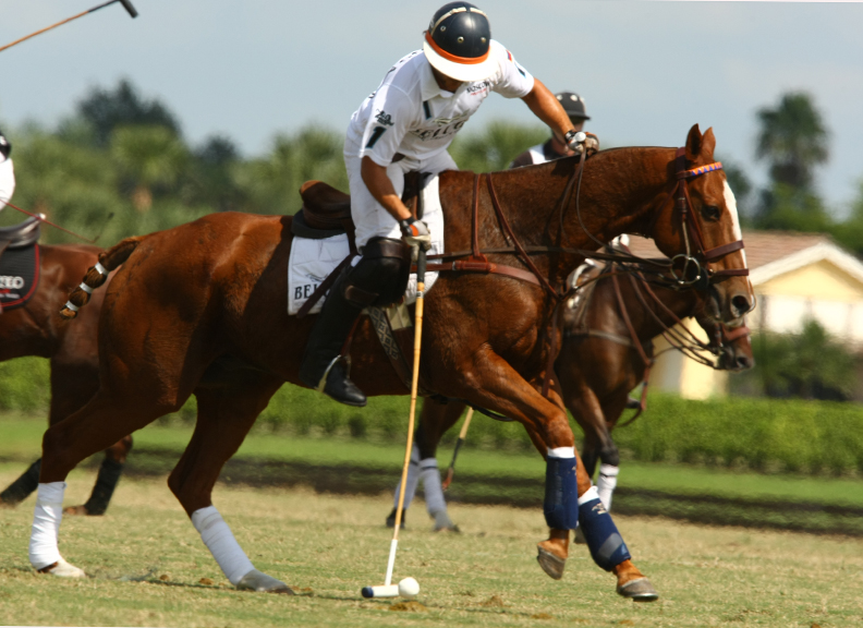 fallplatepolotournamentphotospacheco polomagazinethepolomag 4