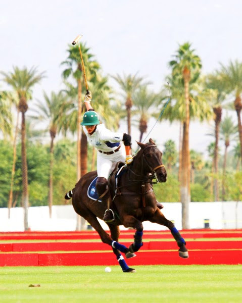 Eldorado Polo Club News Sept 2018