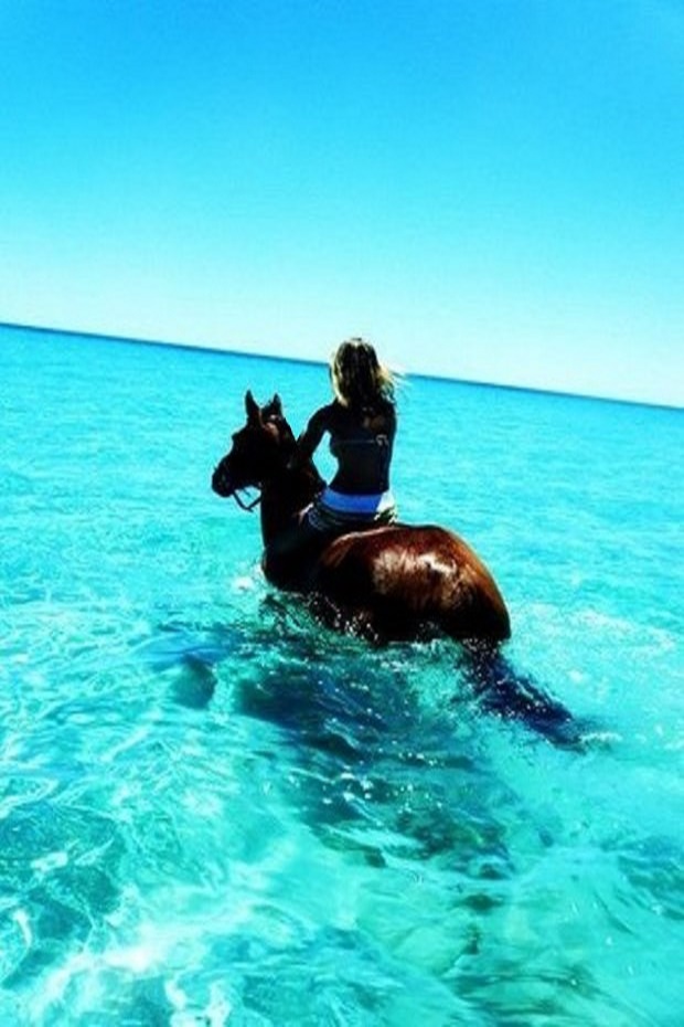 watergroom Custom